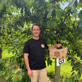 Why Are New Zealand Cherries So Unique?