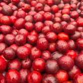 Plums: A Fruit with Centuries of History and Health Benefits