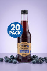 Sparkling Blueberry Drink - 20 x 330ml